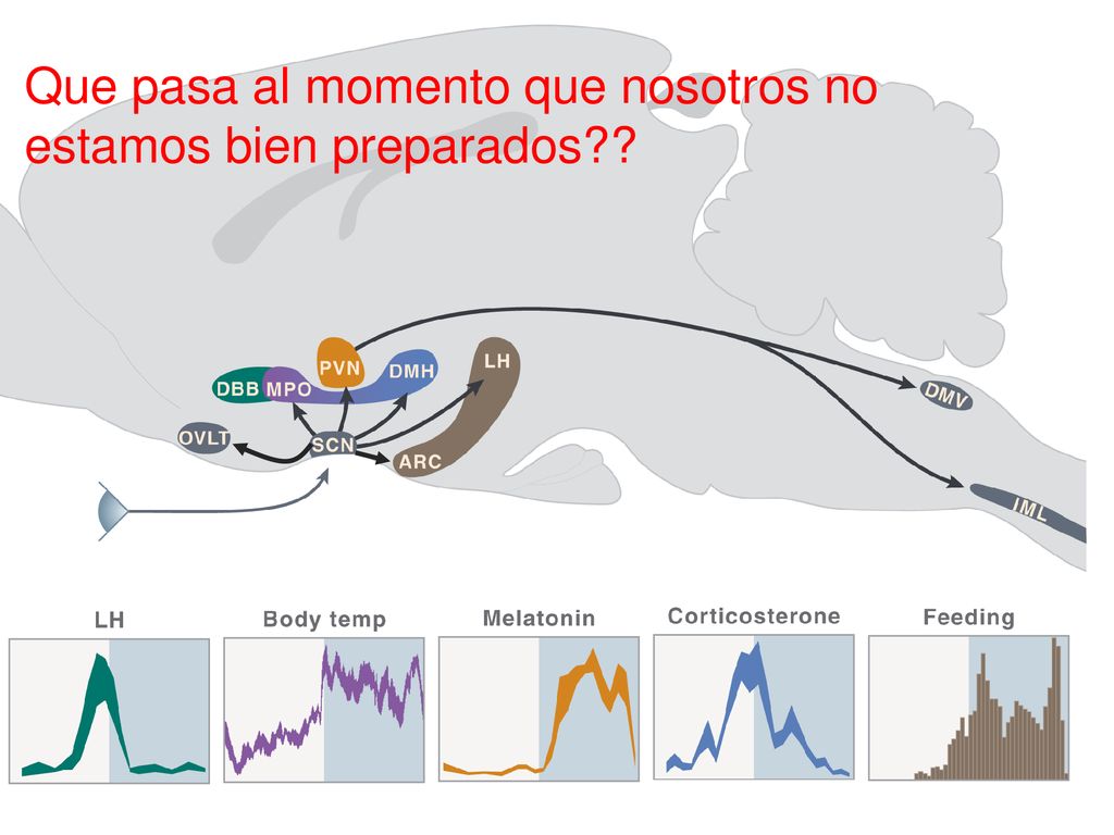 Que pasa al momento que nosotros no estamos bien preparados