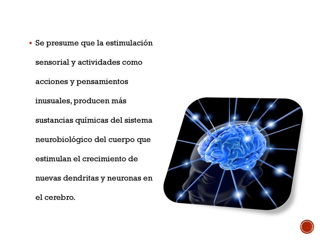 Se presume que la estimulación sensorial y actividades como acciones y pensamientos inusuales, producen más sustancias químicas del sistema neurobiológico del cuerpo que estimulan el crecimiento de nuevas dendritas y neuronas en el cerebro.