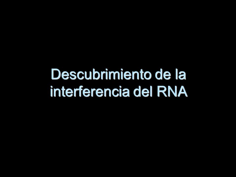 Descubrimiento de la interferencia del RNA