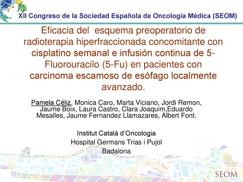 XII Congreso de la Sociedad Española de Oncología Médica (SEOM)