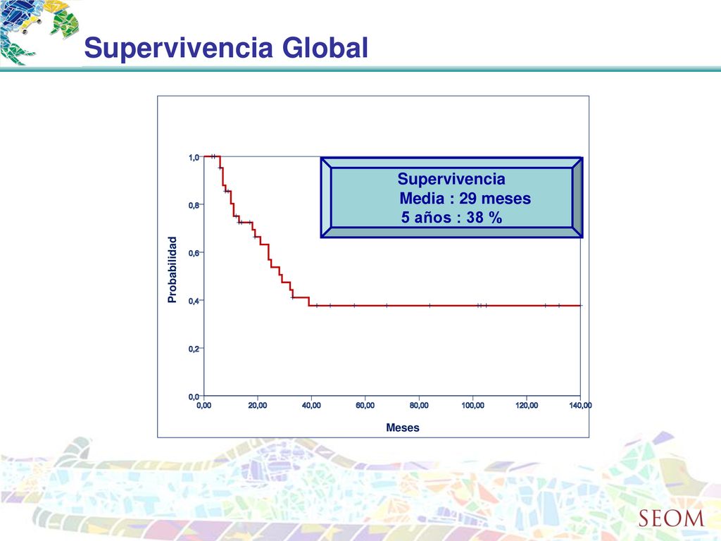 Supervivencia Global Supervivencia Media : 29 meses 5 años : 38 %