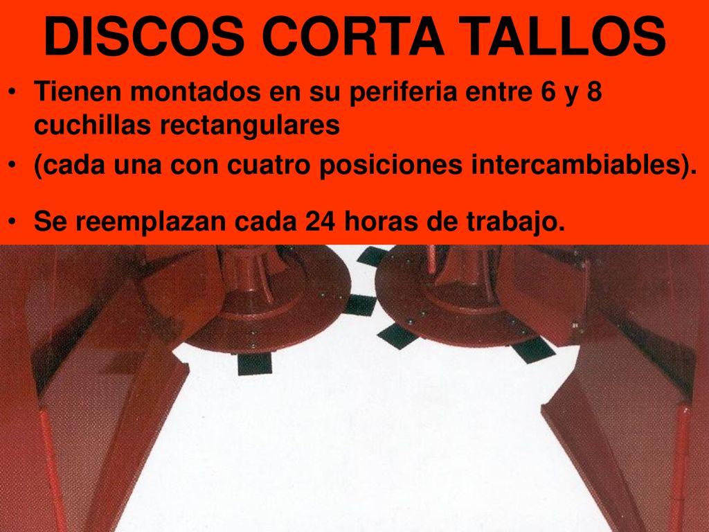 DISCOS CORTA TALLOS Tienen montados en su periferia entre 6 y 8 cuchillas rectangulares. (cada una con cuatro posiciones intercambiables).
