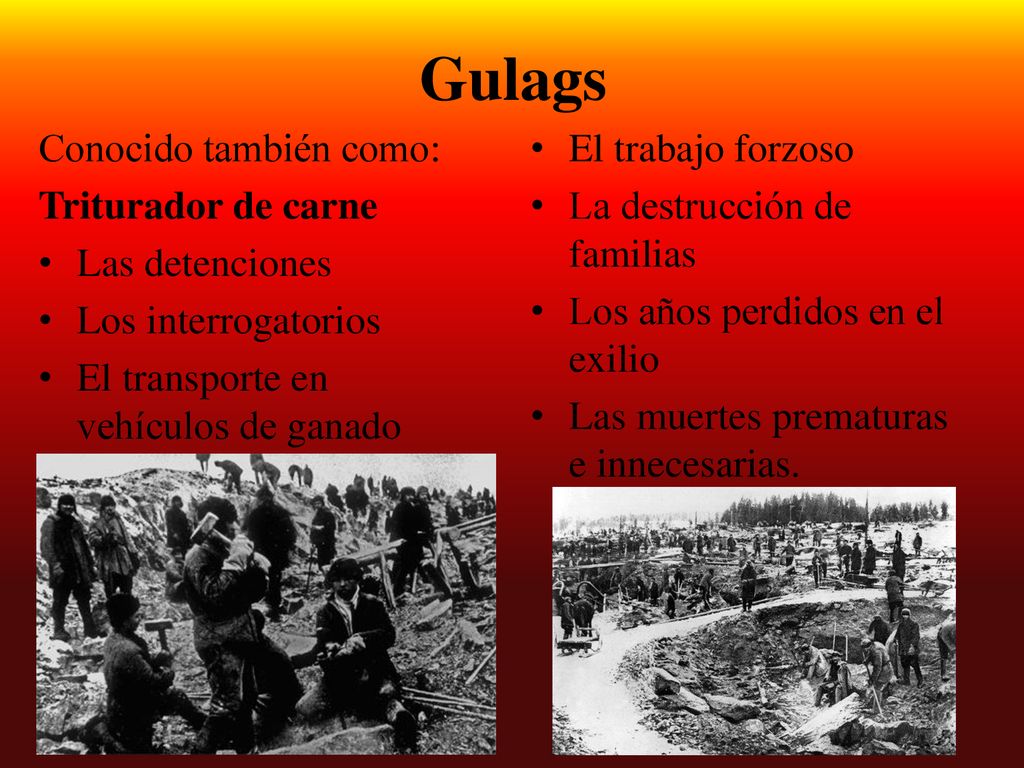 Gulags Conocido también como: Triturador de carne Las detenciones