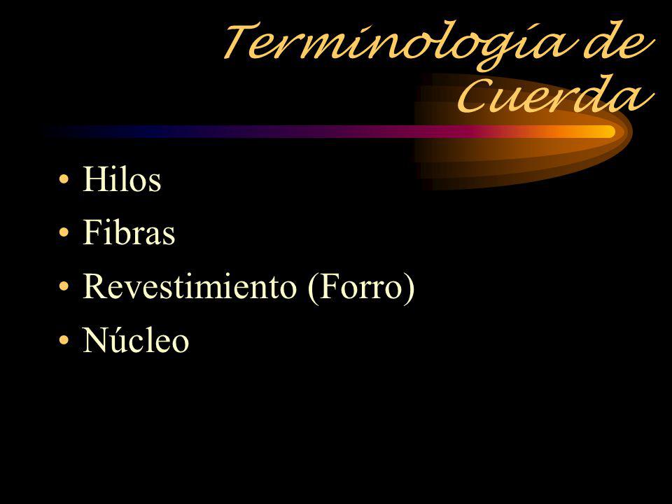 Terminología de Cuerda
