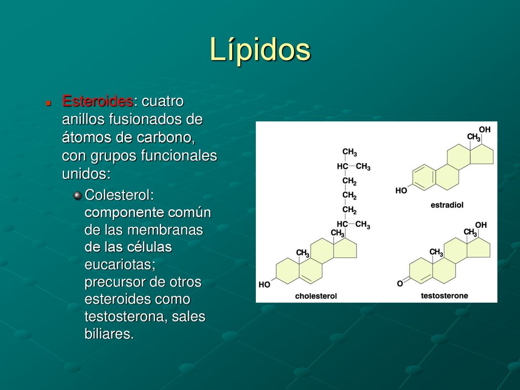 Lípidos Esteroides: cuatro anillos fusionados de átomos de carbono, con grupos funcionales unidos: