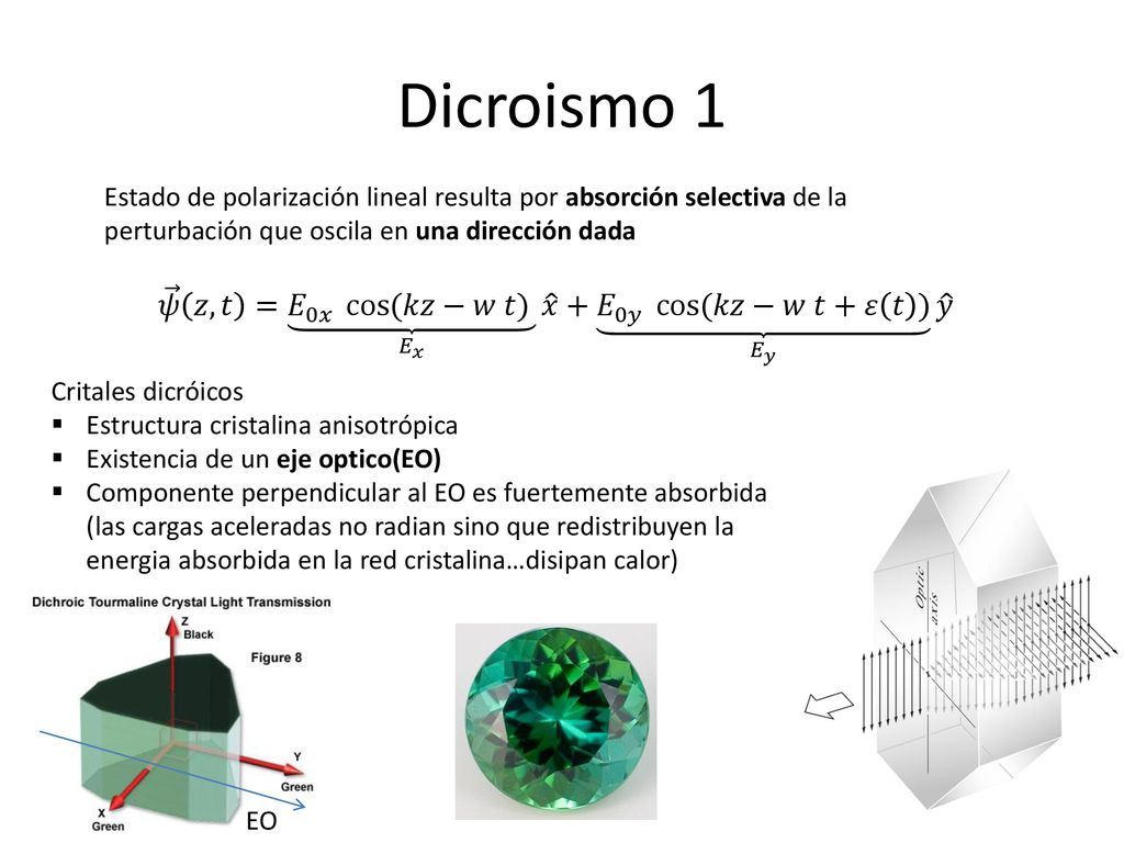 Dicroismo 1 Estado de polarización lineal resulta por absorción selectiva de la perturbación que oscila en una dirección dada.