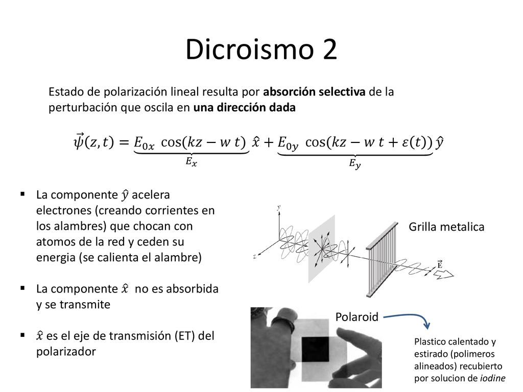 Dicroismo 2 Estado de polarización lineal resulta por absorción selectiva de la perturbación que oscila en una dirección dada.