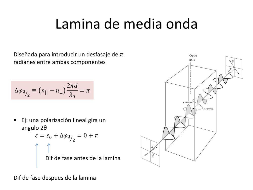 Lamina de media onda Diseñada para introducir un desfasaje de 𝜋 radianes entre ambas componentes. Δ𝜑 𝜆 2 ≡ 𝑛 || − 𝑛 ⊥ 2𝜋𝑑 𝜆 0 =𝜋.