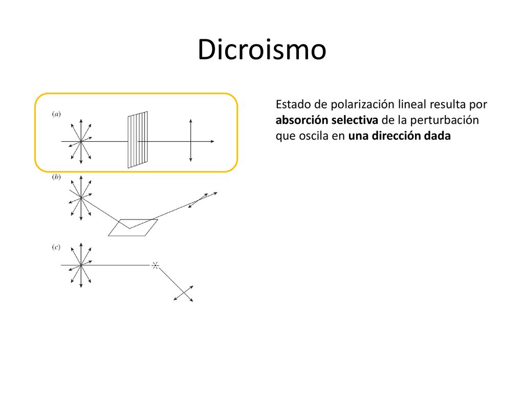 Dicroismo Estado de polarización lineal resulta por absorción selectiva de la perturbación que oscila en una dirección dada.