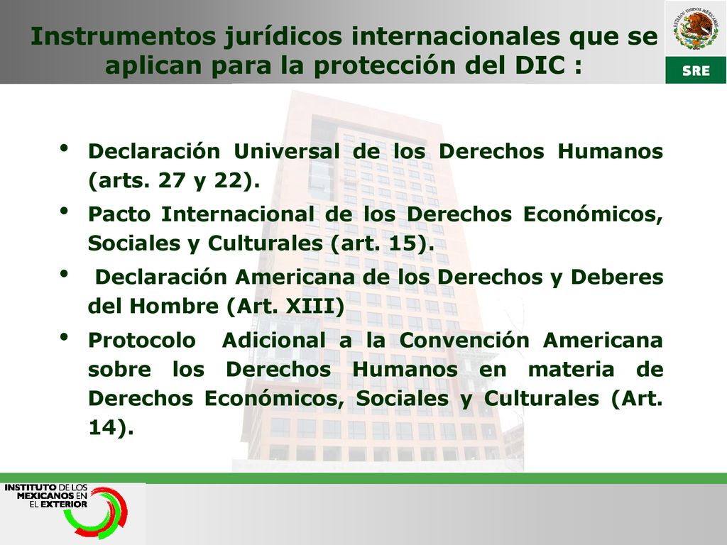Instrumentos jurídicos internacionales que se aplican para la protección del DIC :