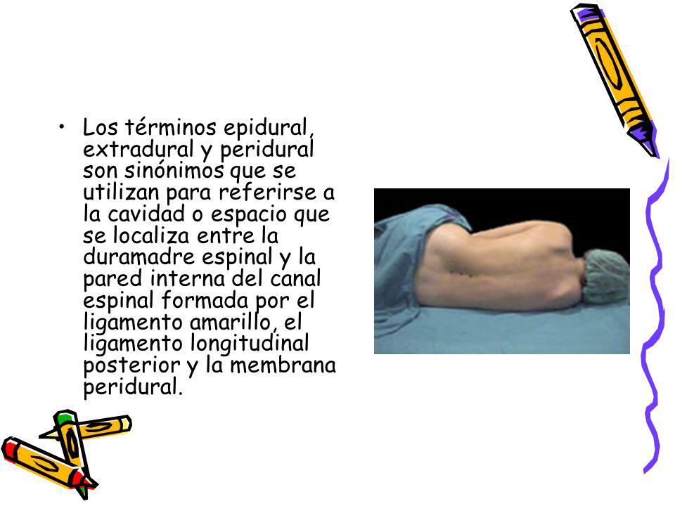 Los términos epidural, extradural y peridural son sinónimos que se utilizan para referirse a la cavidad o espacio que se localiza entre la duramadre espinal y la pared interna del canal espinal formada por el ligamento amarillo, el ligamento longitudinal posterior y la membrana peridural.