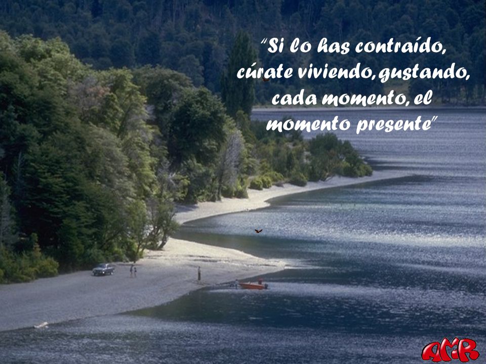 Si lo has contraído, cúrate viviendo, gustando, cada momento, el momento presente