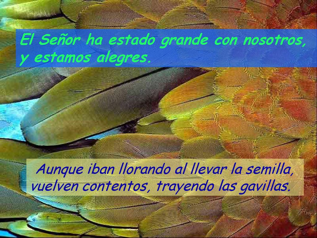 El Señor ha estado grande con nosotros, y estamos alegres.