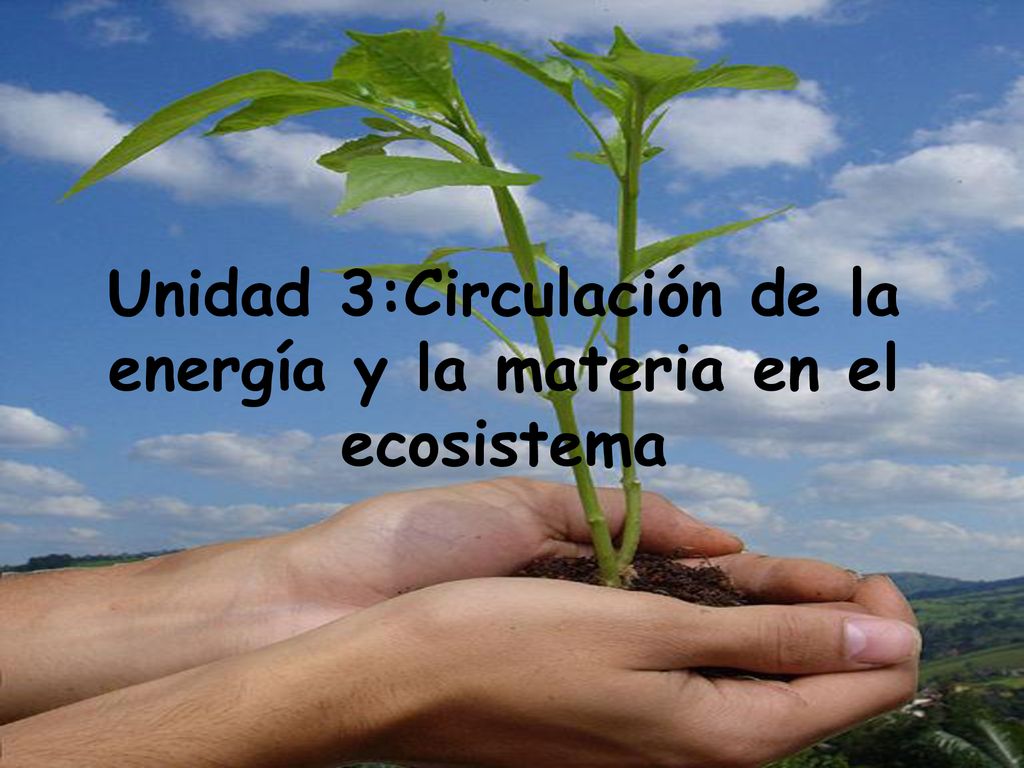 Unidad 3:Circulación de la energía y la materia en el ecosistema