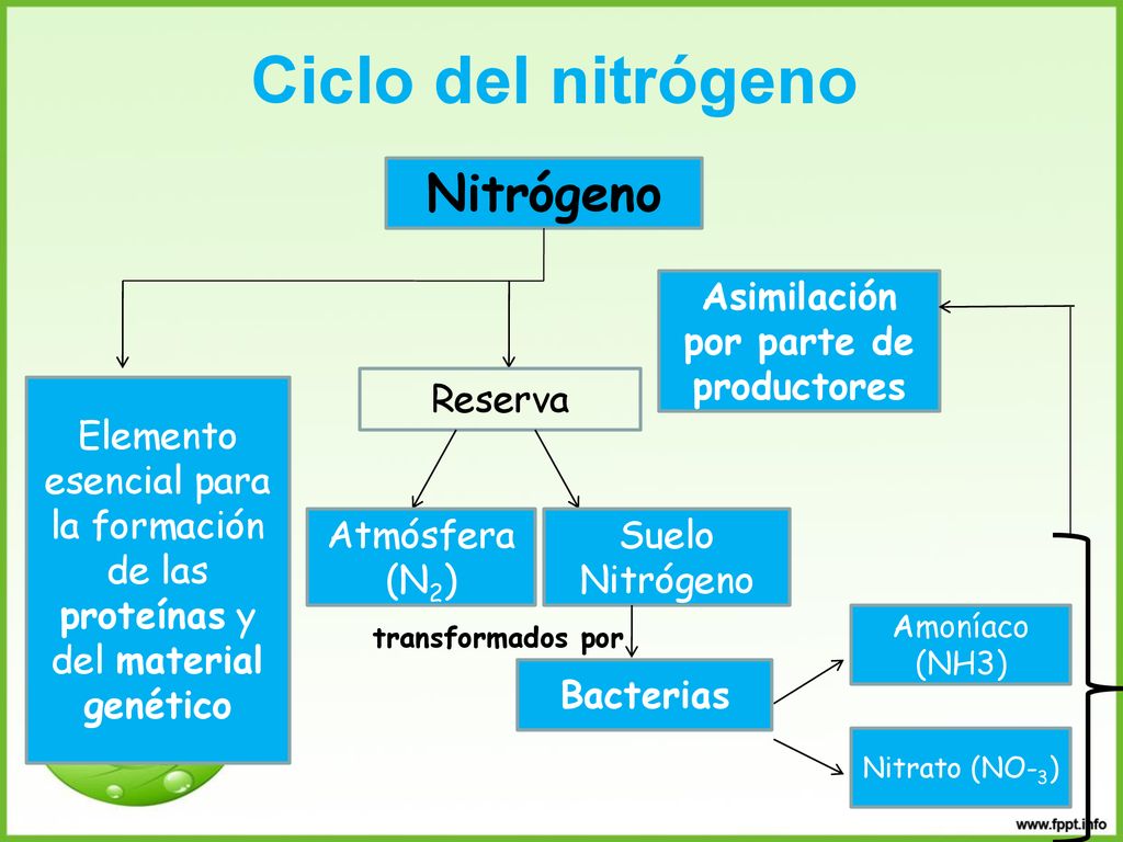 Asimilación por parte de productores