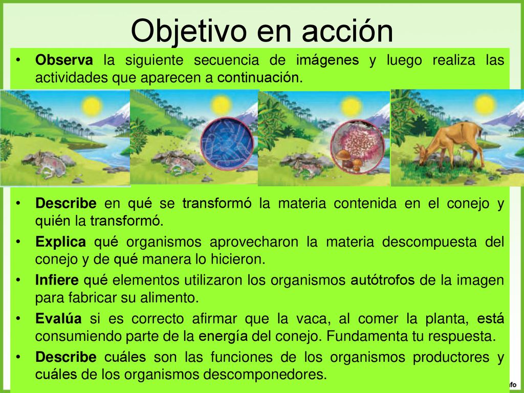 Objetivo en acción Observa la siguiente secuencia de imágenes y luego realiza las actividades que aparecen a continuación.