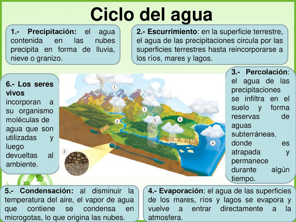 Ciclo del agua 1.- Precipitación: el agua contenida en las nubes precipita en forma de lluvia, nieve o granizo.