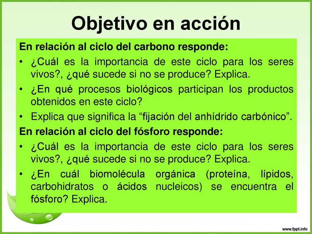 Objetivo en acción En relación al ciclo del carbono responde: