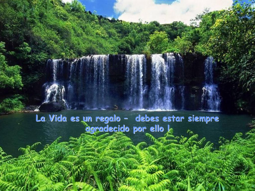 La Vida es un regalo – debes estar siempre agradecido por ello !