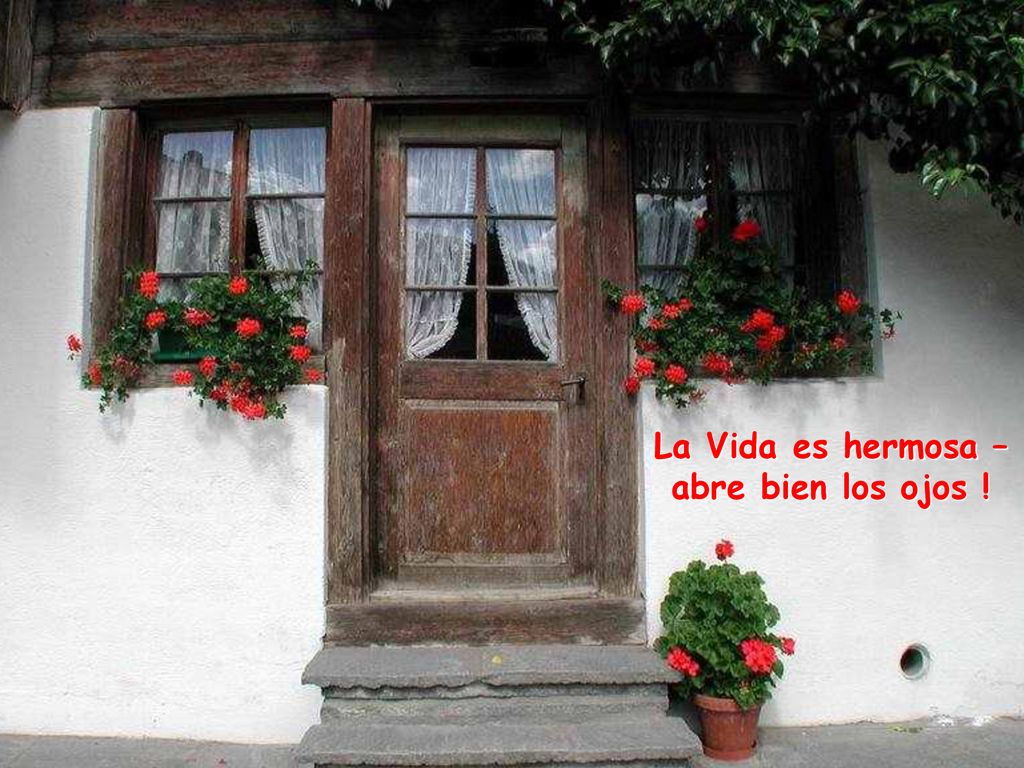 La Vida es hermosa – abre bien los ojos !