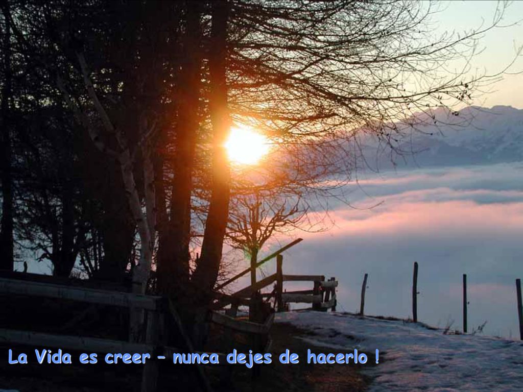 La Vida es creer – nunca dejes de hacerlo !
