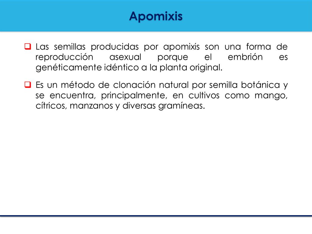 Apomixis Las semillas producidas por apomixis son una forma de reproducción asexual porque el embrión es genéticamente idéntico a la planta original.