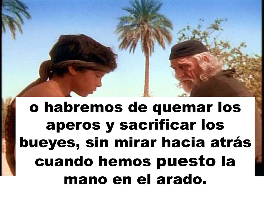 o habremos de quemar los aperos y sacrificar los bueyes, sin mirar hacia atrás cuando hemos puesto la mano en el arado.
