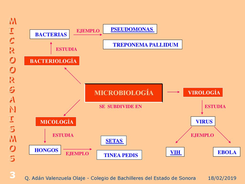 Q. Adán Valenzuela Olaje - Colegio de Bachilleres del Estado de Sonora