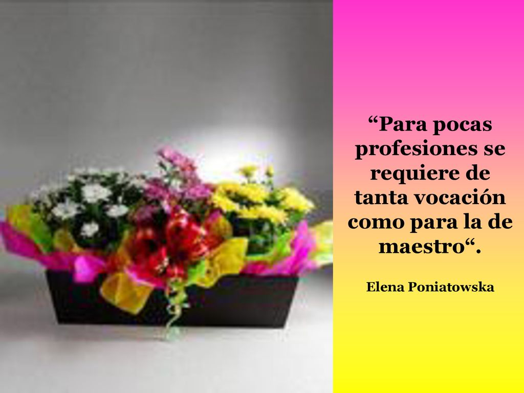 Para pocas profesiones se requiere de tanta vocación como para la de maestro . Elena Poniatowska