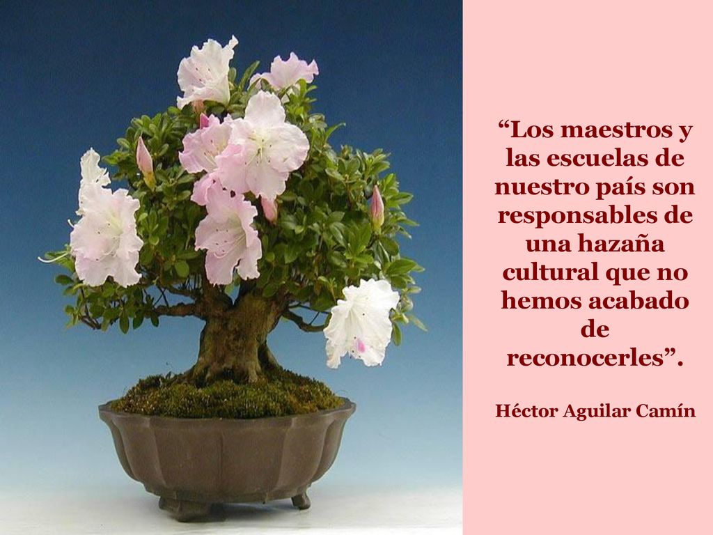 Los maestros y las escuelas de nuestro país son responsables de una hazaña cultural que no hemos acabado de reconocerles .