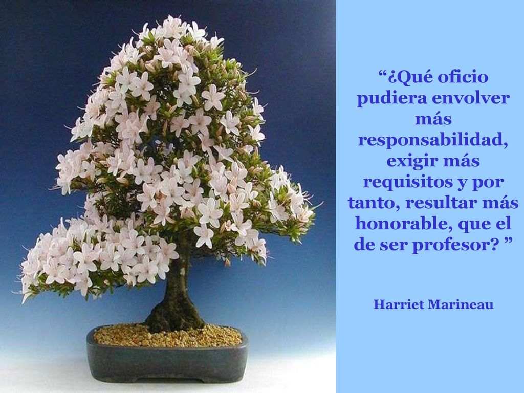 ¿Qué oficio pudiera envolver más responsabilidad, exigir más requisitos y por tanto, resultar más honorable, que el de ser profesor.