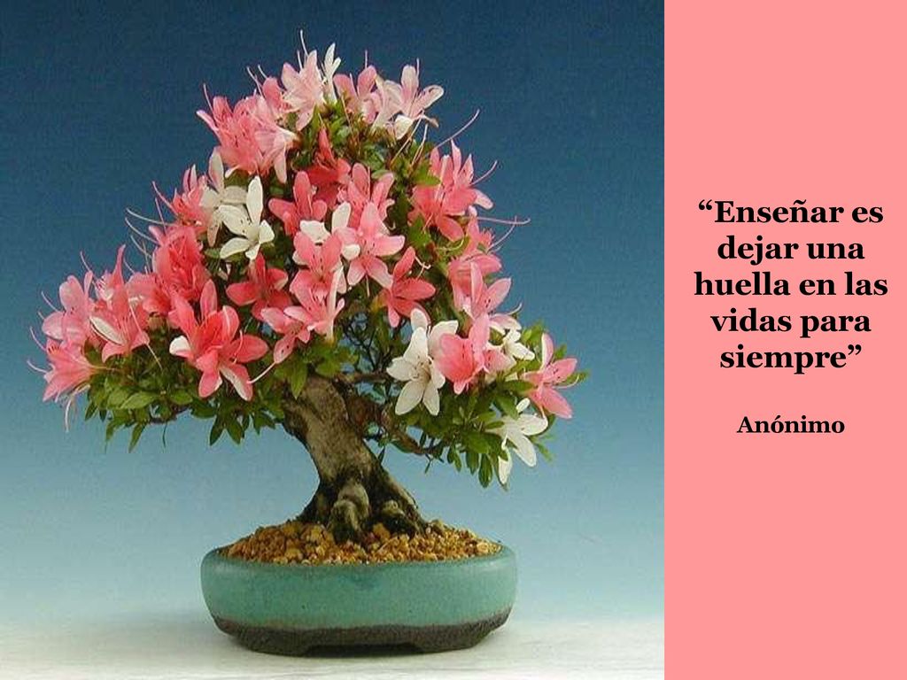 Enseñar es dejar una huella en las vidas para siempre Anónimo