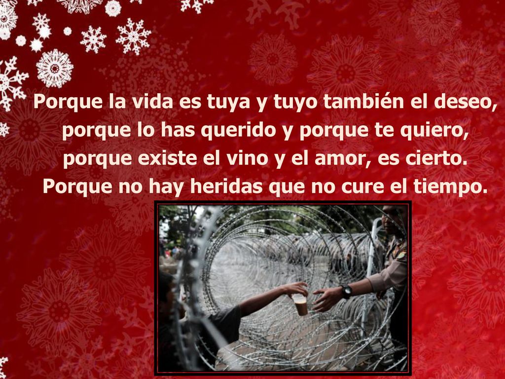 Porque la vida es tuya y tuyo también el deseo,