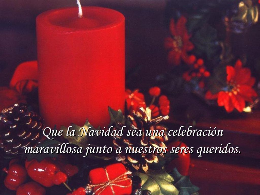 Que la Navidad sea una celebración maravillosa junto a nuestros seres queridos.