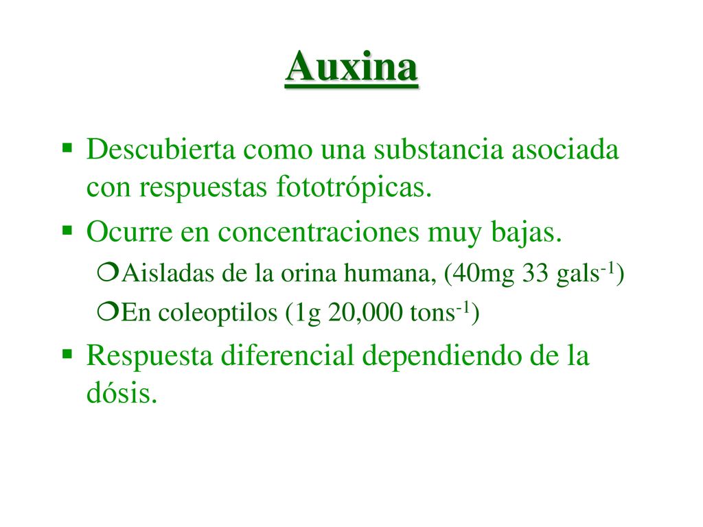 Auxina Descubierta como una substancia asociada con respuestas fototrópicas. Ocurre en concentraciones muy bajas.