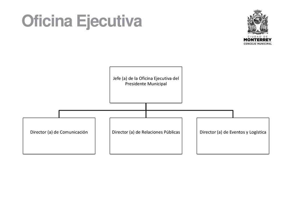 Oficina Ejecutiva Jefe (a) de la Oficina Ejecutiva del Presidente Municipal. Director (a) de Comunicación.