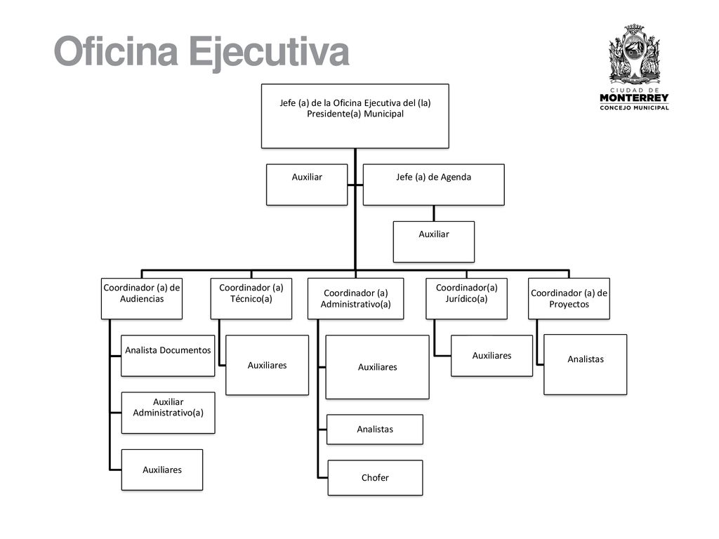 Oficina Ejecutiva Jefe (a) de la Oficina Ejecutiva del (la) Presidente(a) Municipal. Coordinador (a) de Audiencias.
