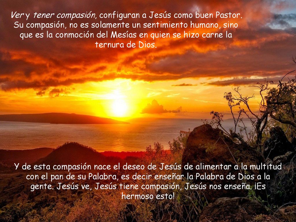 Ver y tener compasión, configuran a Jesús como buen Pastor