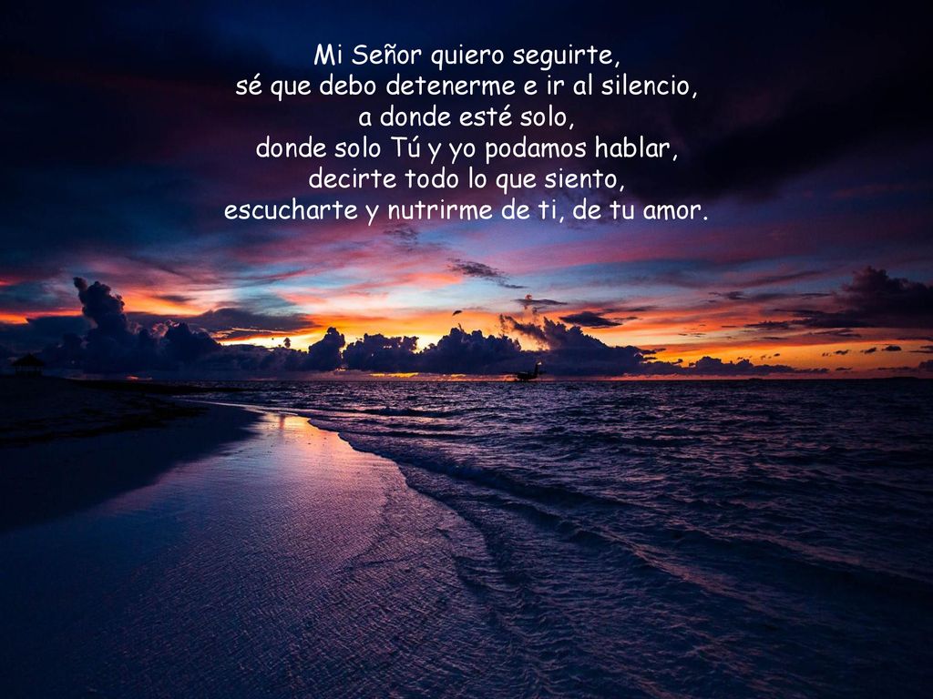 Mi Señor quiero seguirte, sé que debo detenerme e ir al silencio,
