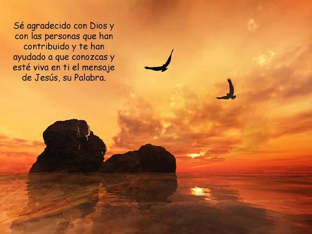 Sé agradecido con Dios y con las personas que han contribuido y te han ayudado a que conozcas y esté viva en ti el mensaje de Jesús, su Palabra.
