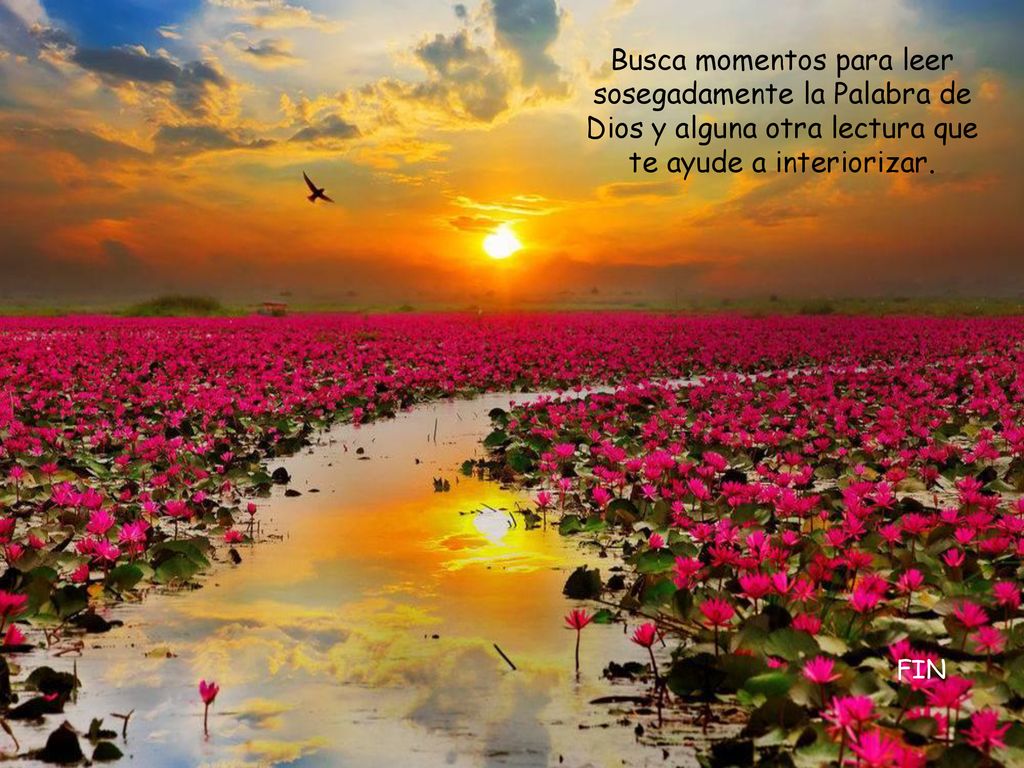 Busca momentos para leer sosegadamente la Palabra de Dios y alguna otra lectura que te ayude a interiorizar.