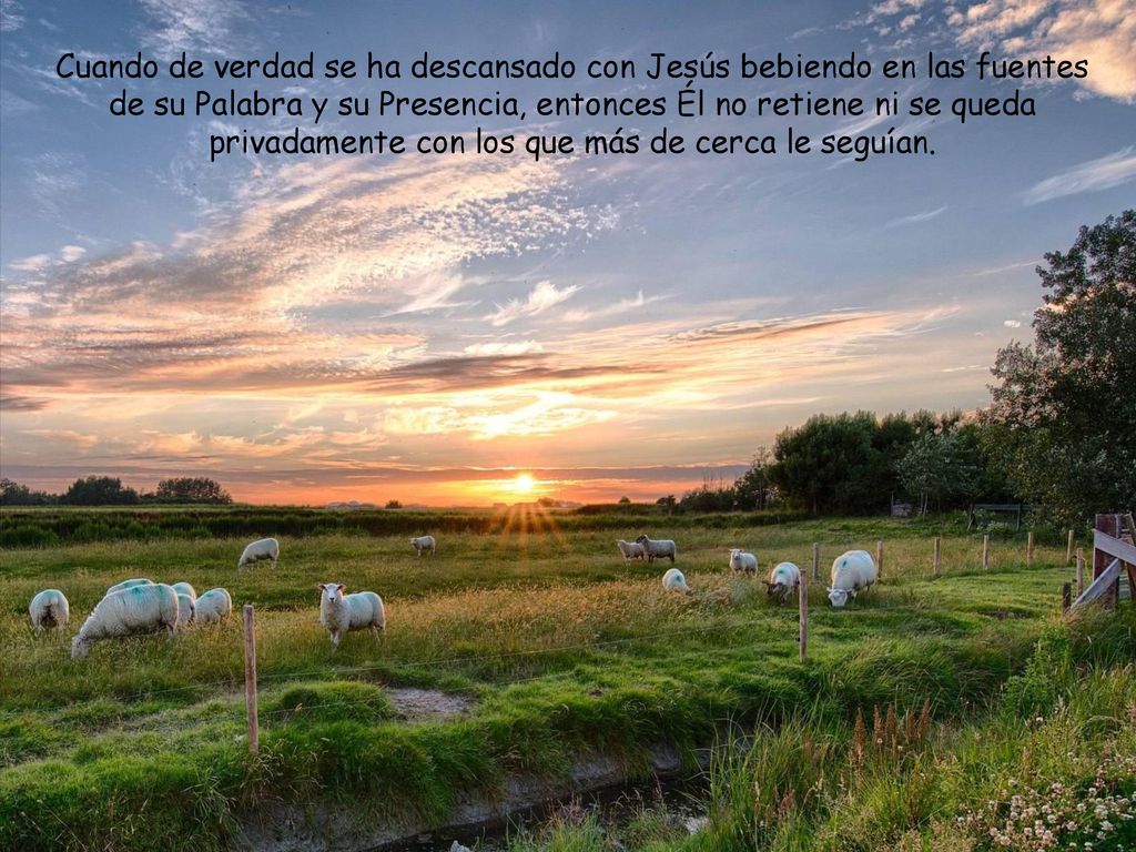 Cuando de verdad se ha descansado con Jesús bebiendo en las fuentes de su Palabra y su Presencia, entonces Él no retiene ni se queda privadamente con los que más de cerca le seguían.