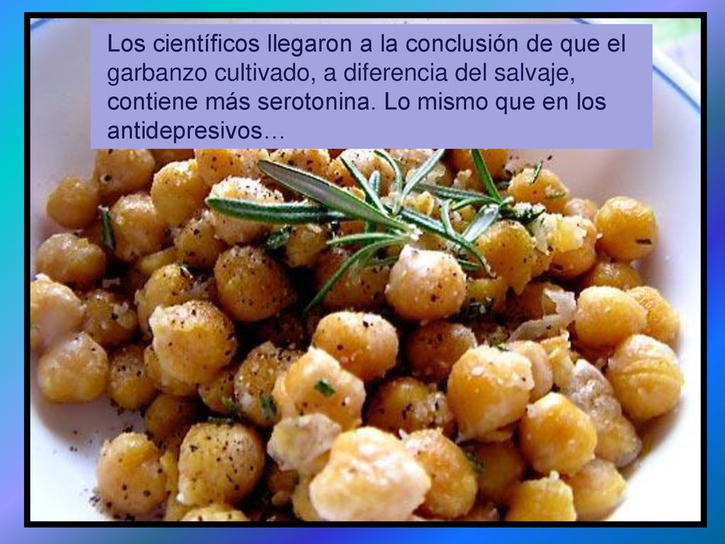 Los científicos llegaron a la conclusión de que el garbanzo cultivado, a diferencia del salvaje, contiene más serotonina.