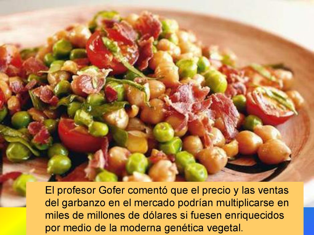 El profesor Gofer comentó que el precio y las ventas del garbanzo en el mercado podrían multiplicarse en miles de millones de dólares si fuesen enriquecidos por medio de la moderna genética vegetal.