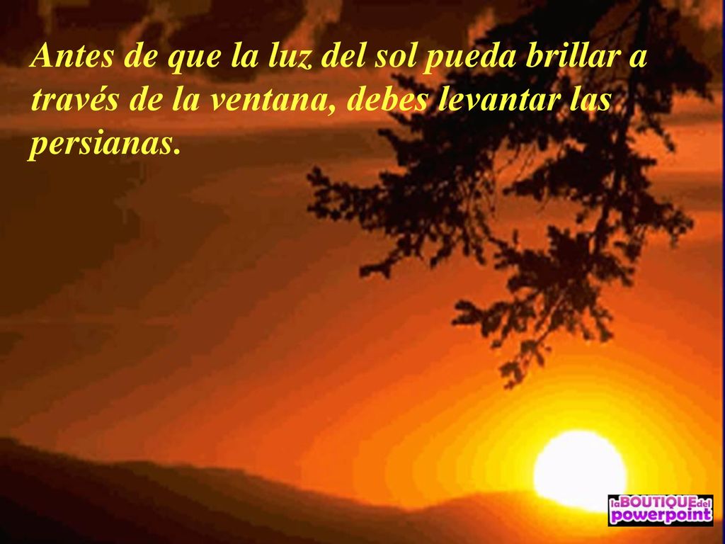 Antes de que la luz del sol pueda brillar a través de la ventana, debes levantar las persianas.