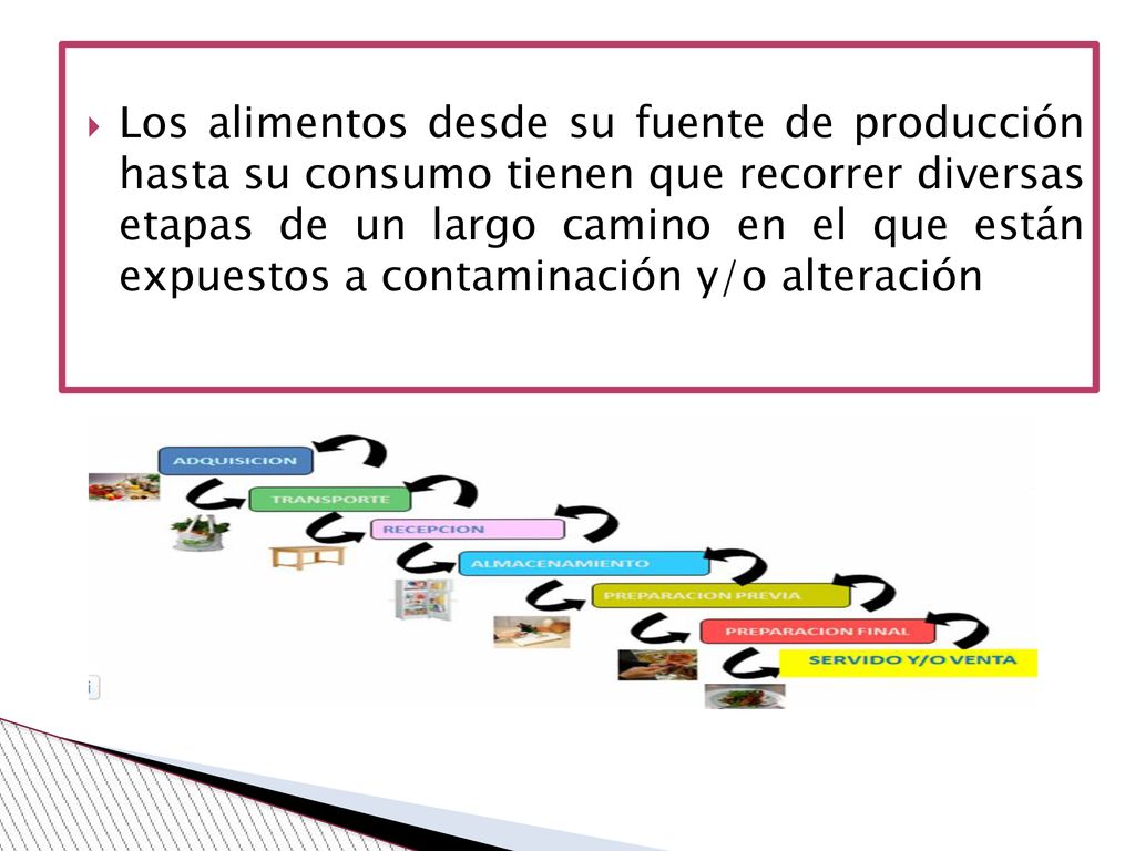 Los alimentos desde su fuente de producción hasta su consumo tienen que recorrer diversas etapas de un largo camino en el que están expuestos a contaminación y/o alteración