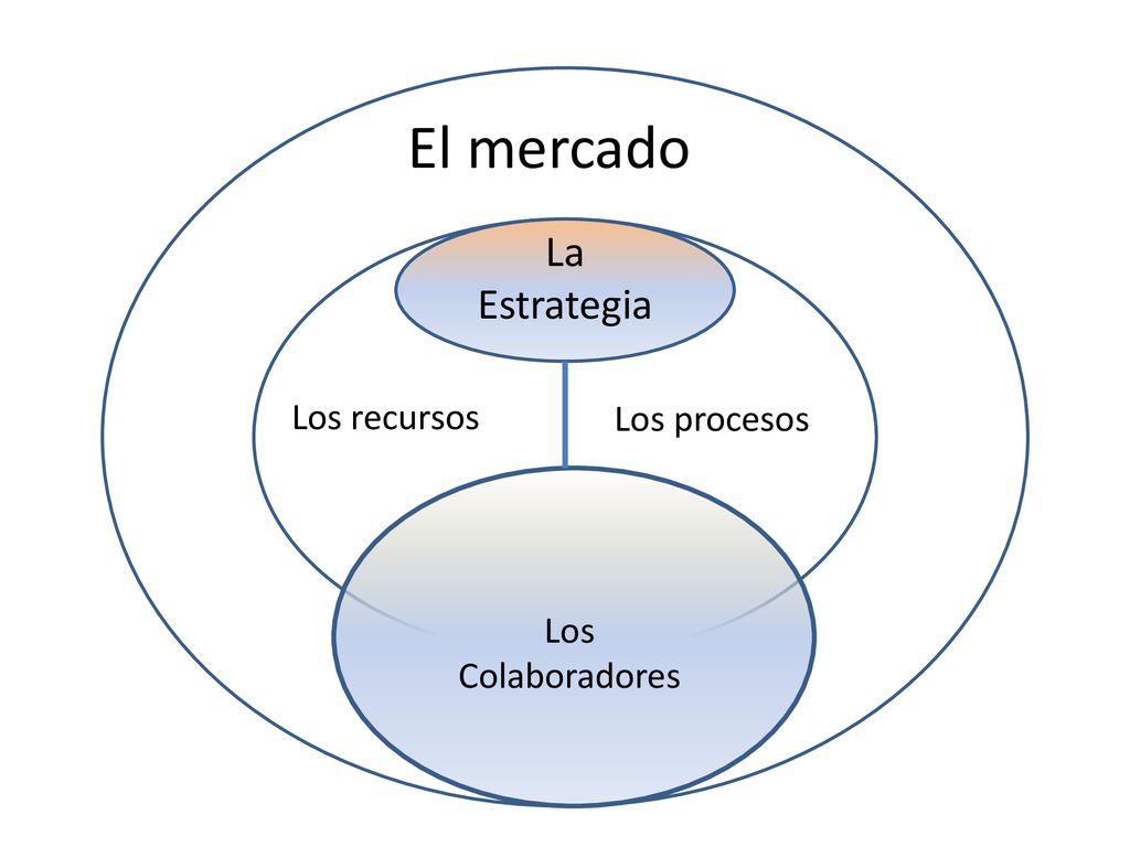 El mercado La Estrategia Los recursos Los procesos Los Colaboradores