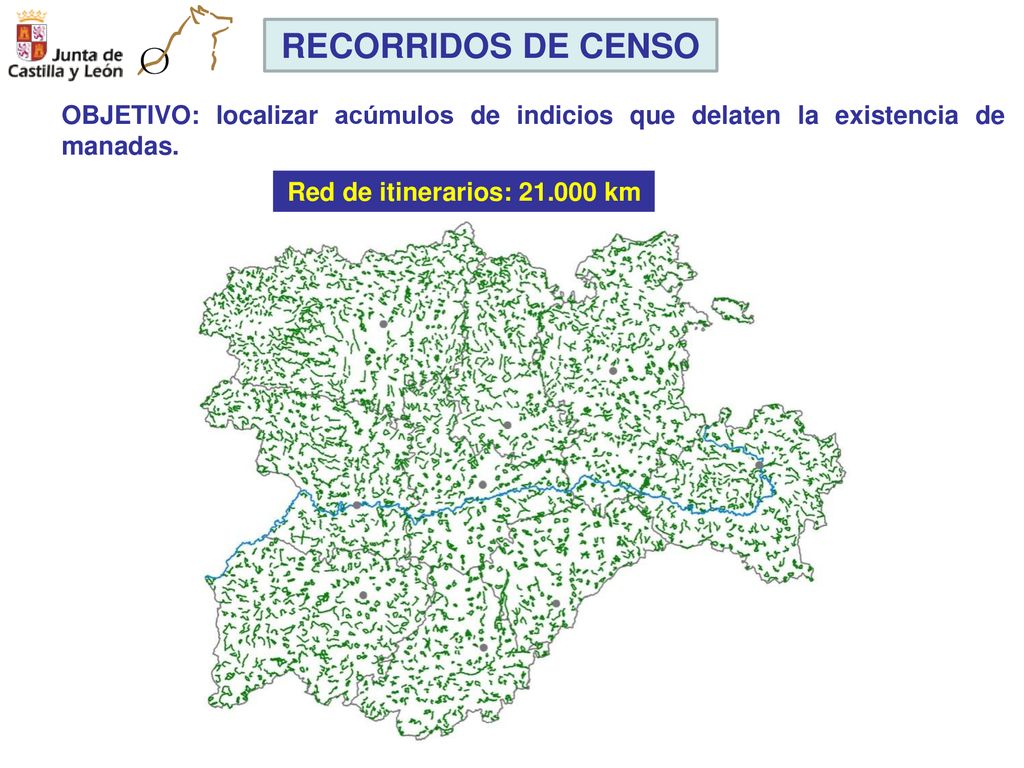 RECORRIDOS DE CENSO OBJETIVO: localizar acúmulos de indicios que delaten la existencia de manadas.