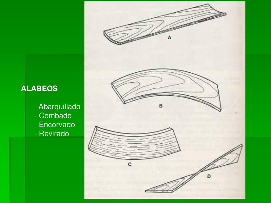 ALABEOS - Abarquillado - Combado - Encorvado - Revirado
