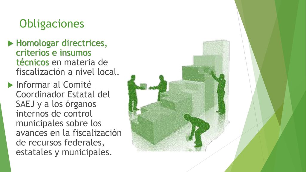 Obligaciones Homologar directrices, criterios e insumos técnicos en materia de fiscalización a nivel local.